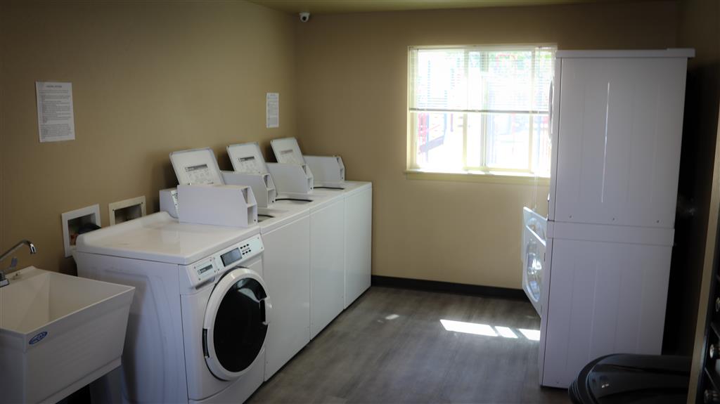 Gallery Photo 36